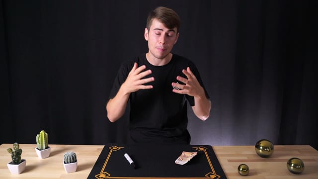 Animation Theory