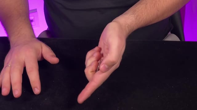 Italian Palm False Transfer