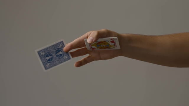 Tenkai Palm and Variations