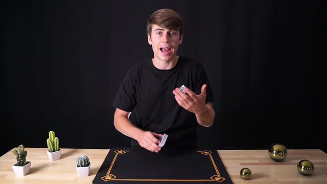 Classic Palm